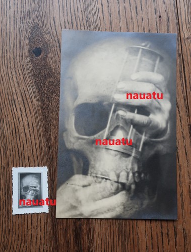 Original foto portrait - original,
