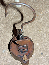 Eisen Frosch Froschlampe